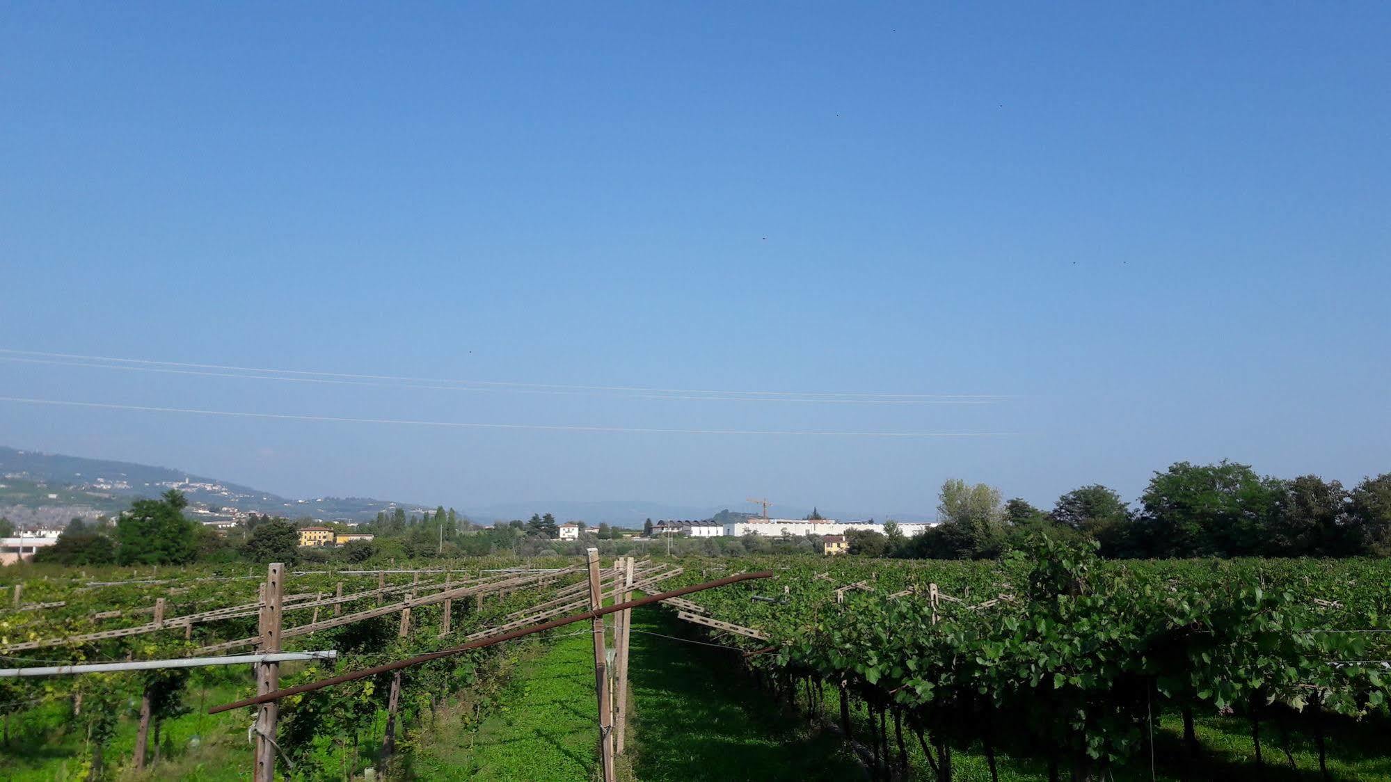 Agriturismo Camparella Пастренго Экстерьер фото